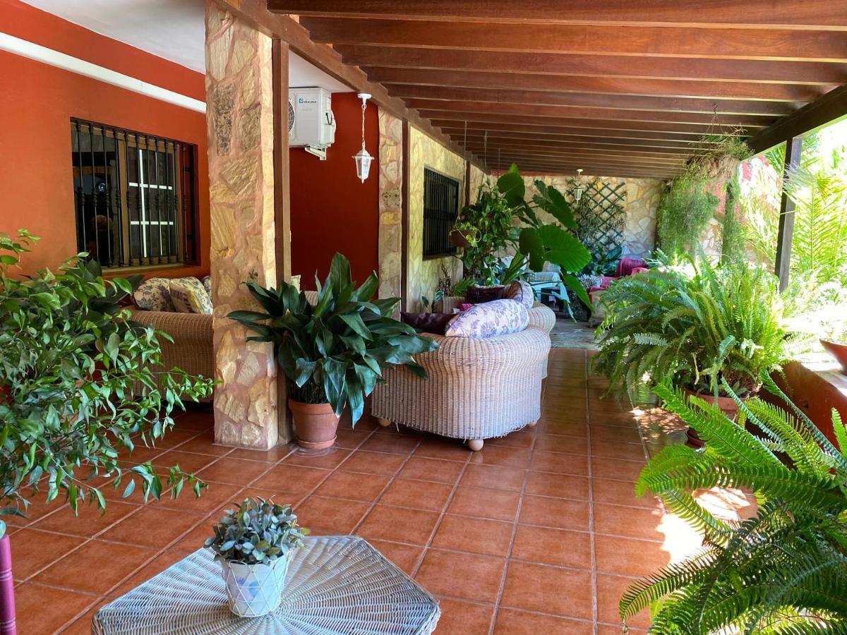 Casa Lazaro, Tegueste 외부 사진