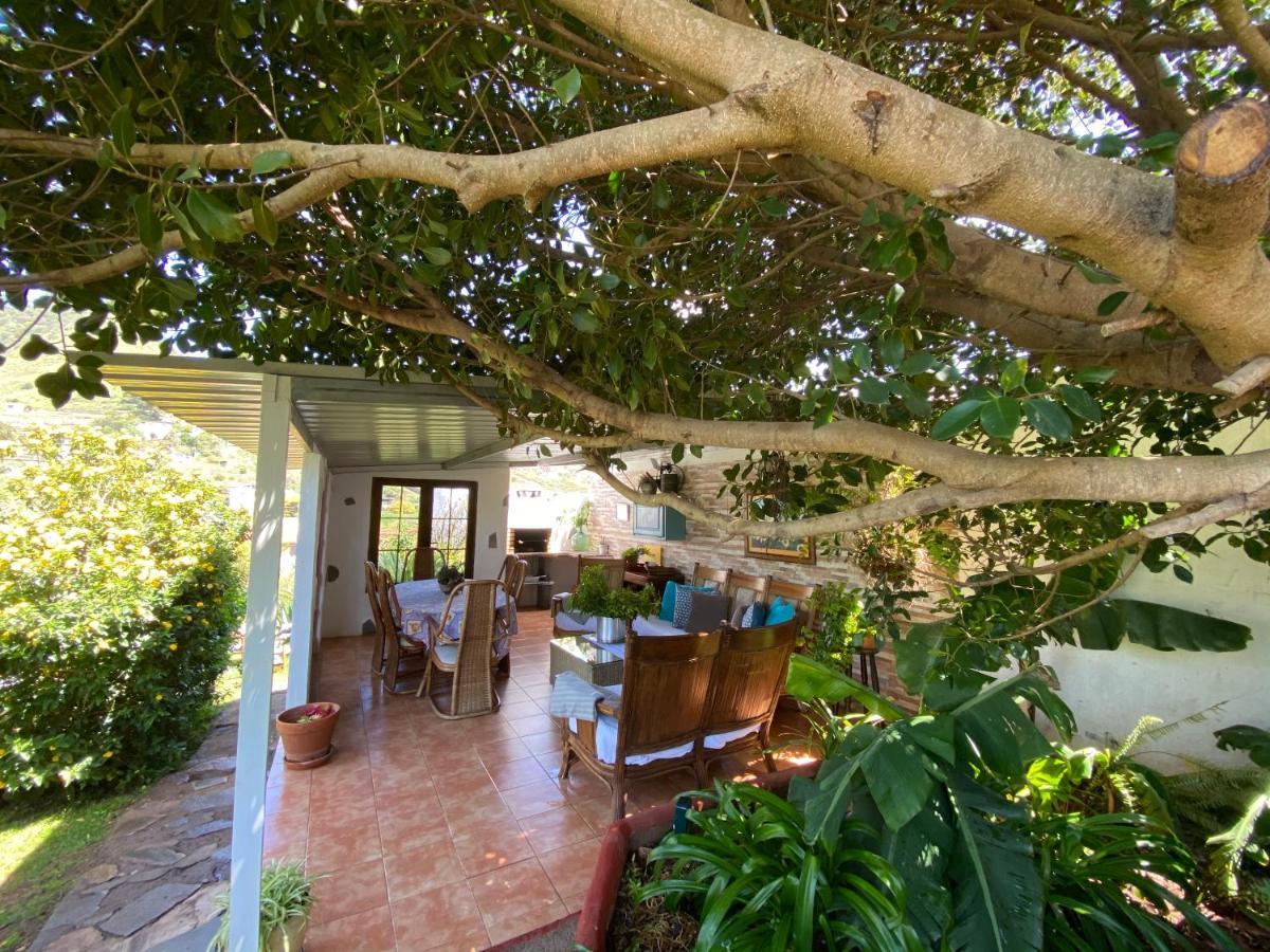 Casa Lazaro, Tegueste 외부 사진