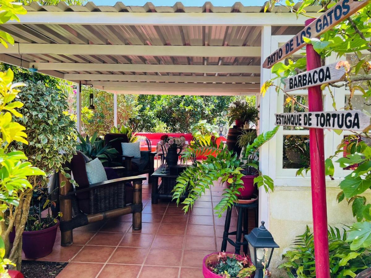 Casa Lazaro, Tegueste 외부 사진